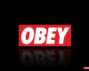 OBEY Room