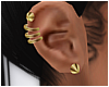 -A- Gold Earrings