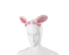 ℠ - Sexy Bunny Ears