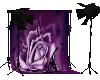 Purple Rose Backdrop