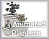 3 Ani Planters