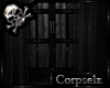 C* PVC Addon Window