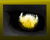  {{G}}Gold Demonic eyes