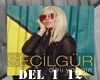 SECIL GUR
