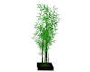 Tall Bamboo Houseplant