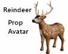 Reindeer Prop Avatar