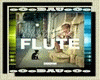 New World Sound--Flute 2