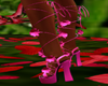 FG~ Junni Rose Heels