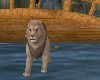 ANIMATED ZOO LION