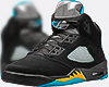 M. Aqua 5's