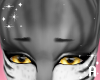 A! Diti brows