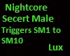Nightcore Secert Male