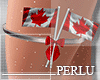 [P]Canadian Flag Garter