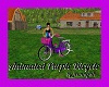 Animated Purple Bicycle