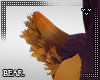 B | Jacko Tail