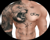 LION HF