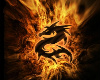 Dragon Flame cuddler