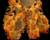 ML~ Fire Robe