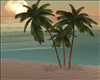 Bi. Palm Trees