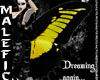 +m+ B-yellow wings