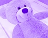 Teddy Whit Pose Purple