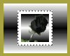 Black Rose Stamp
