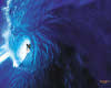 wave Rider