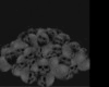 PILE OF SKULLS 01