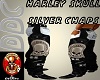 H/D Silver Skull Chaps
