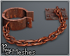 Rusty Floor Shackle 4