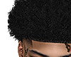 Bama Fro 2026