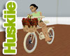 Fullhouse bicycle