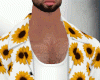 Sunflowers bundle v1