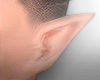 any-skin elf ears