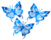 *E4U* blue butterfly