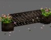 Bench Roses Particles