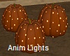 Pumpkin Lights Anim