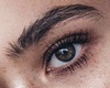 Brows Natural