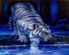 White Tiger