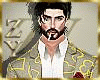 ZY: Mr PLayer Suits