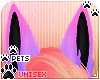 [Pets] Phir | ears v2