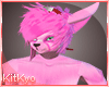 ~Kit~Sakura Fur [M]