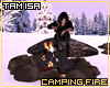 Camping Fire