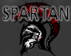 [xVx] Spartan Top