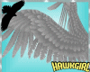 !HawkGirl Wings!