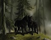 Black Wolf Picture