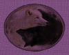 Badgers Wolf  Cushion