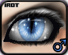 [iRot] M Blue Purrfect.