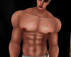 PERFECT  ABS  V4