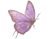 Mariposa
